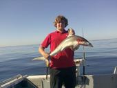8kg hemmerhead 8kg hemmerhead